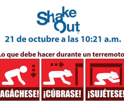 los tres pasos del ShakeOut 