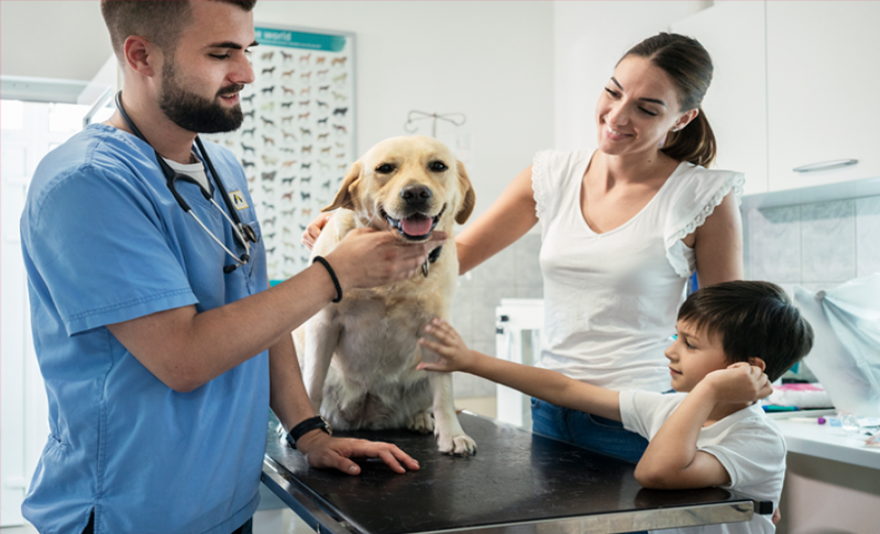 Imagen de perro sentado en la mesa del veterinario con el veterinario y su familia