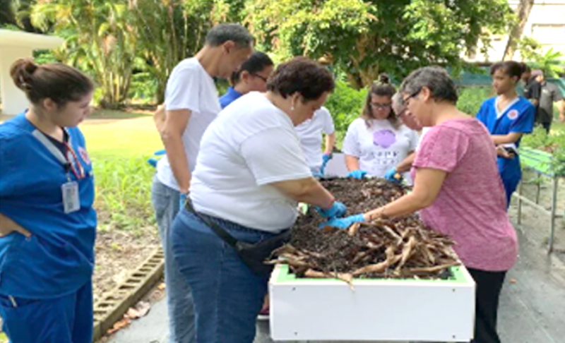 Grupo de personas trabajando juntos en una hortaliza