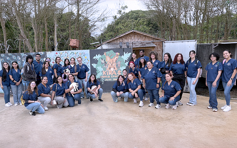 grupo de estidiantes