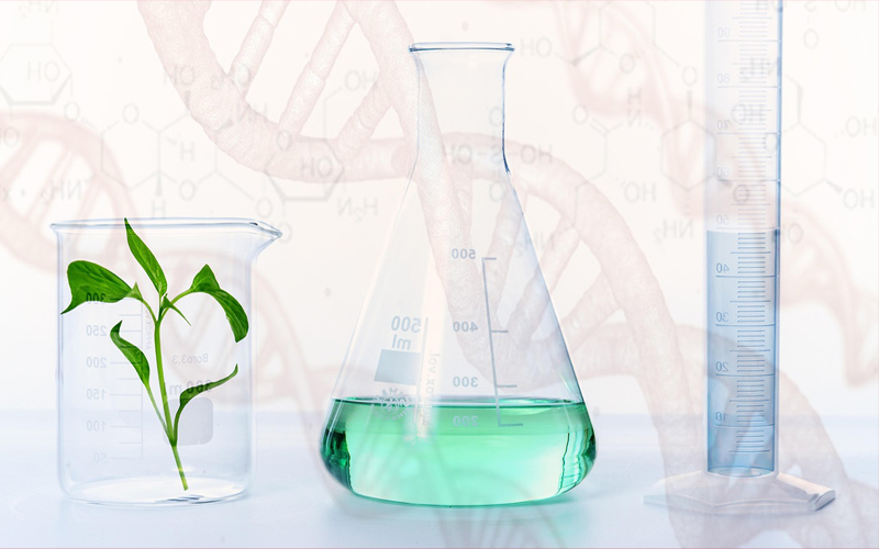Envases de laboratorio, planta y figura de ADN