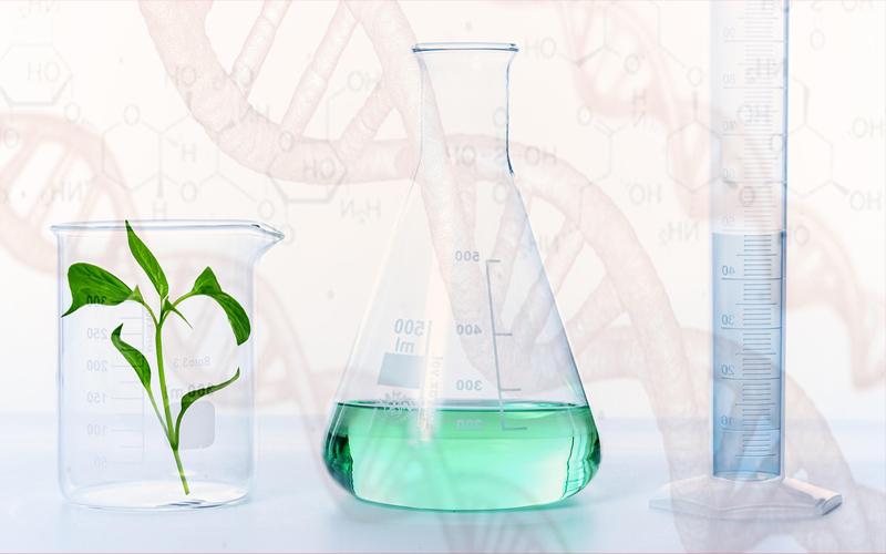 Envases de laboratorio, planta y figura de ADN