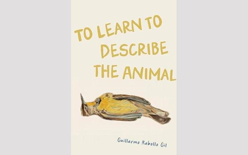 Portada de libro